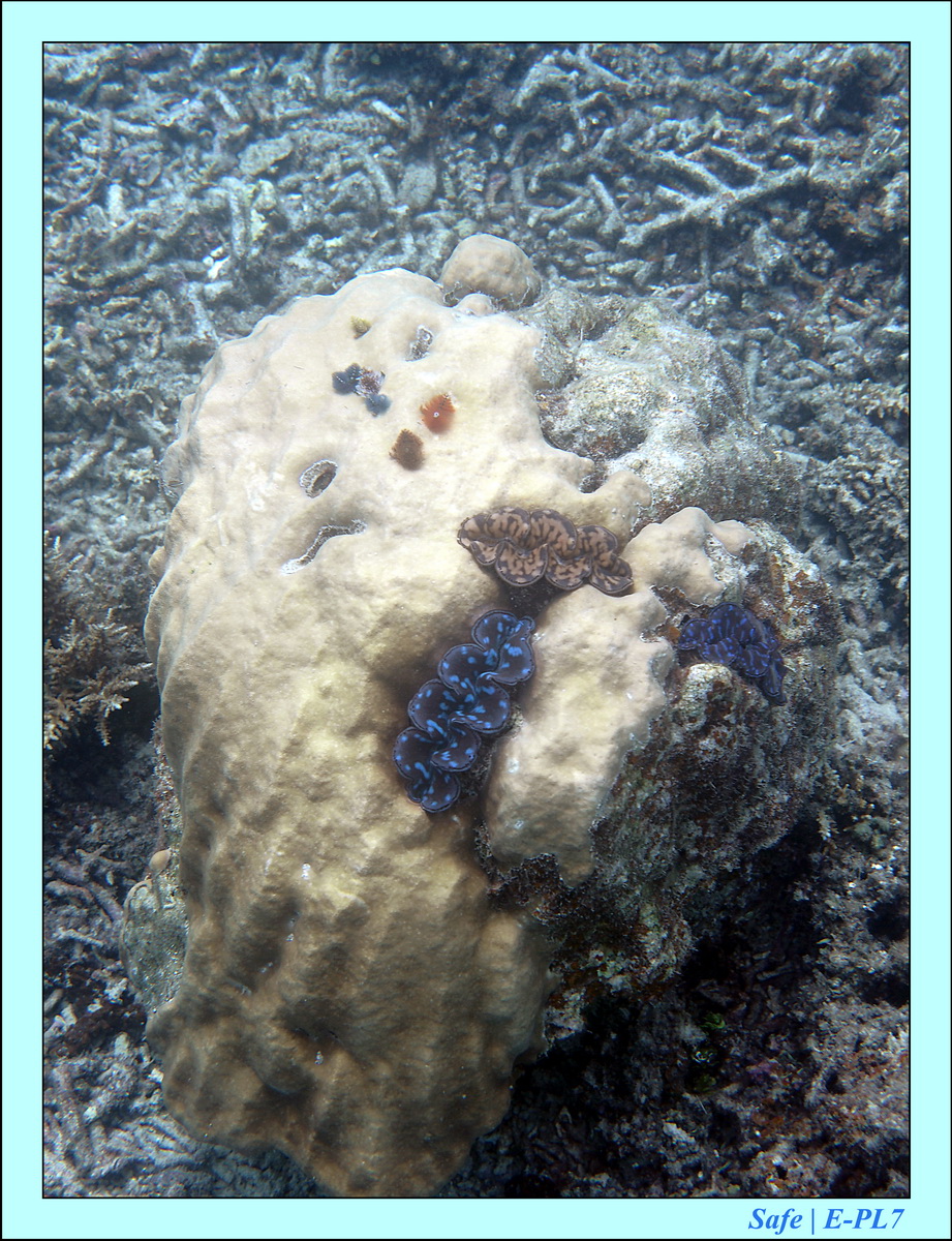 2016 - 07 - Leng Tengah - 012